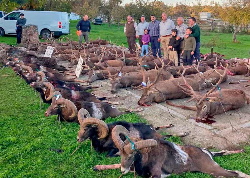 Resultado Montería Vallepalacio 2024 Carlos Villar